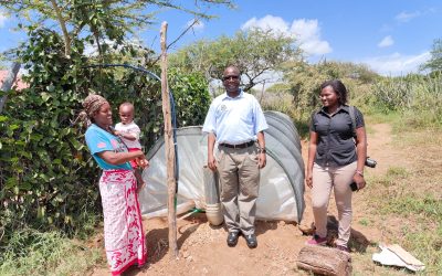 Dol Dol's Green Transformation